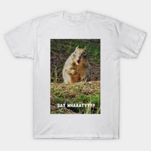 Surprised squirrel T-Shirt